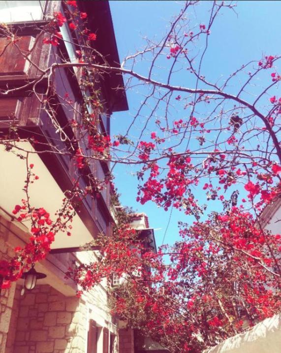 Alayaz Hotel Alaçatı Exterior foto